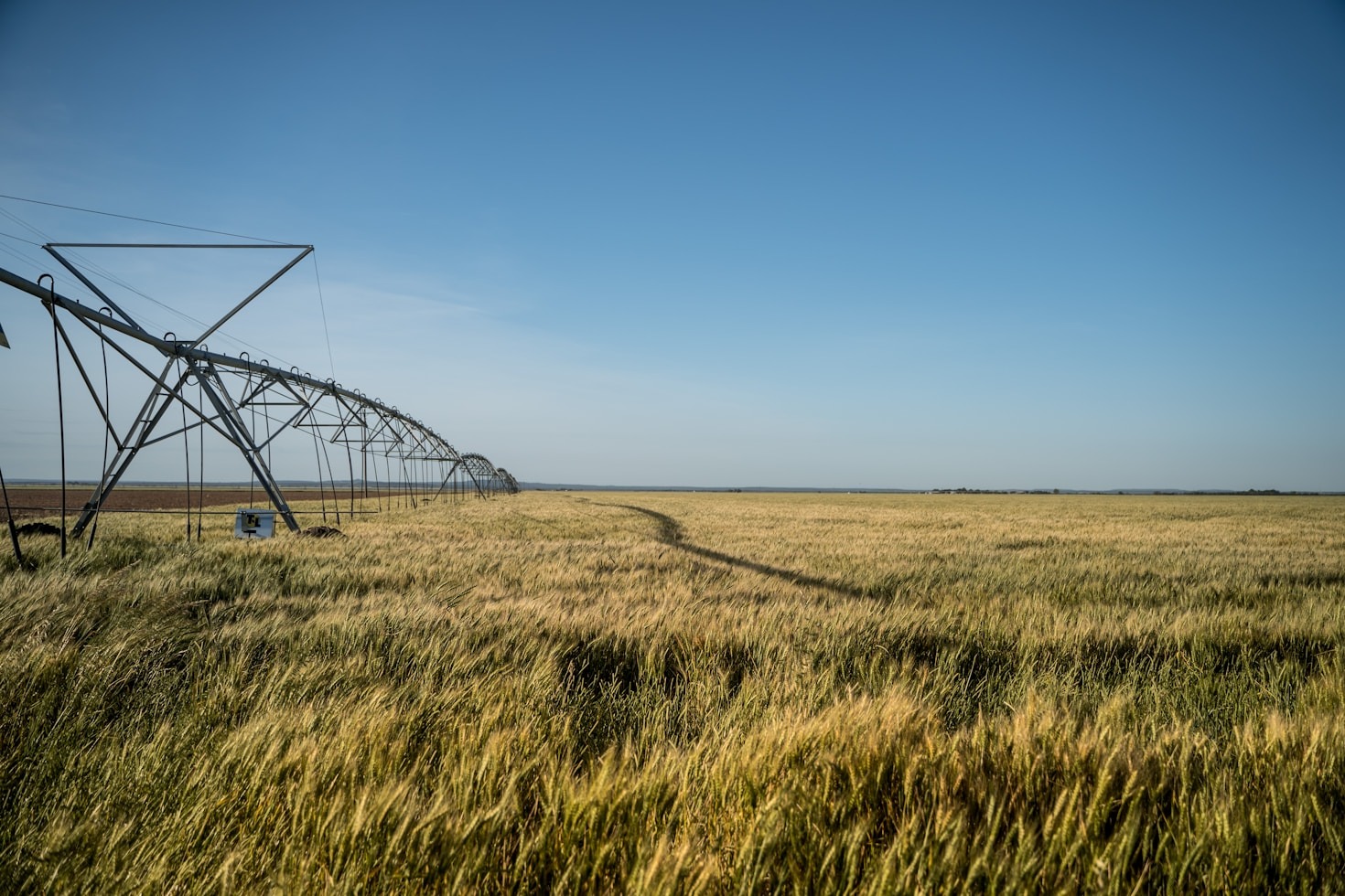 How Agroforestry and Technology Are Changing Agriculture
