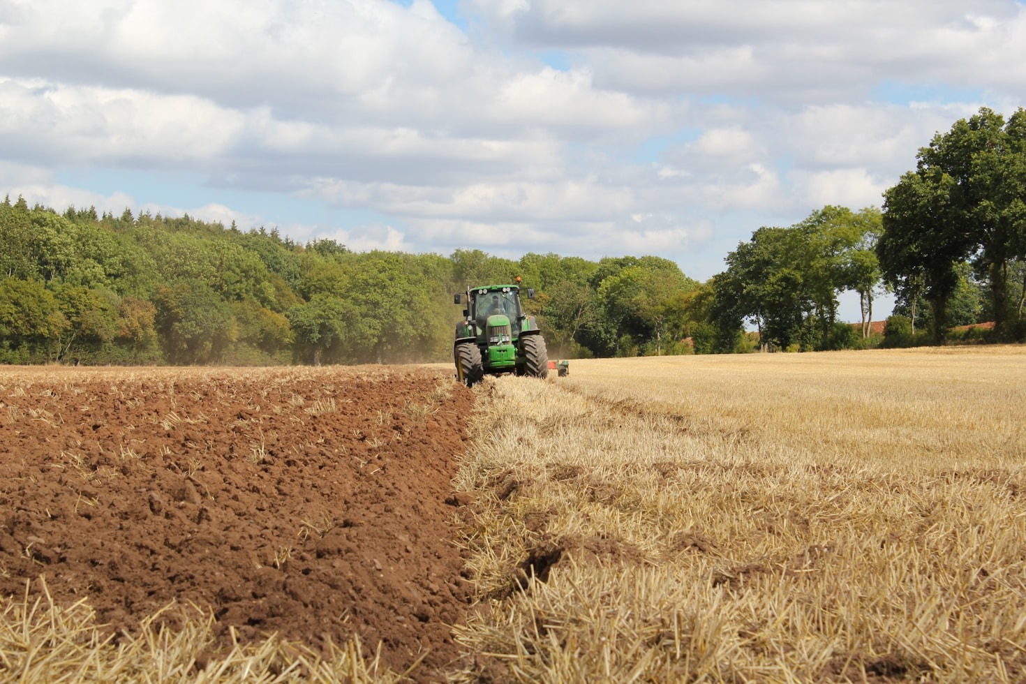 Innovative Approaches to Modern Agroforestry Challenges