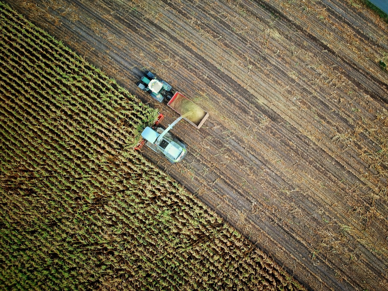 Agro-Tech Synergy: A Model for Future Farming